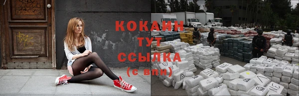 стафф Армянск