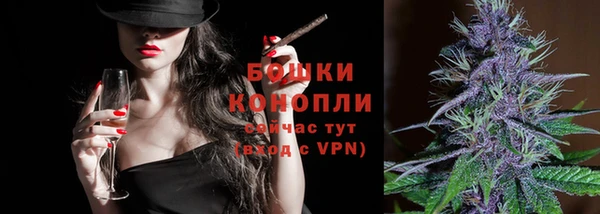шишки Пестово