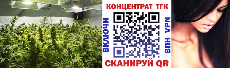 как найти закладки  Новоржев  мега ONION  Дистиллят ТГК гашишное масло 