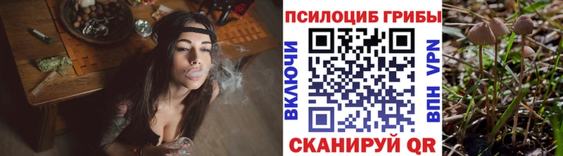 Псилоцибиновые грибы MAGIC MUSHROOMS  Новоржев 